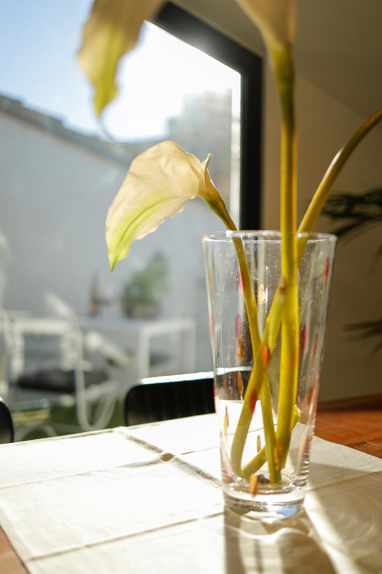 Greve Center Apartments Greve in Chianti Ngoại thất bức ảnh